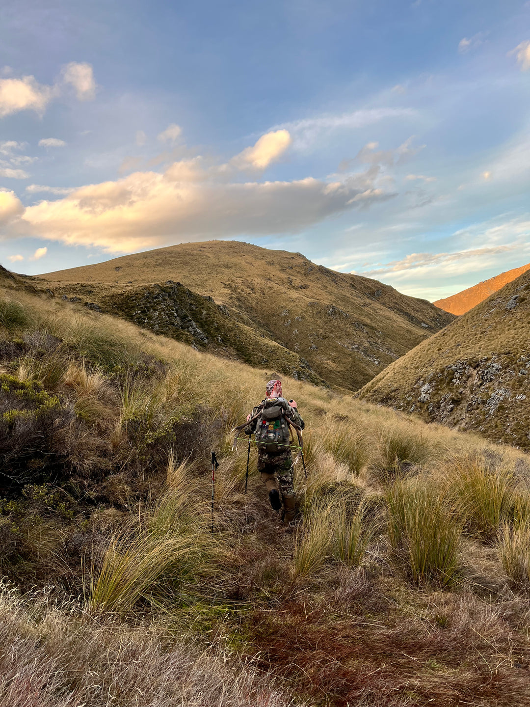 New Zealand Stag Hunt